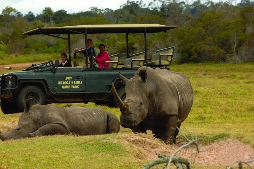 Guided drive with White Rhino