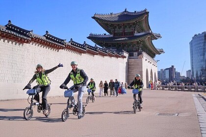 Seoul E-bike tur