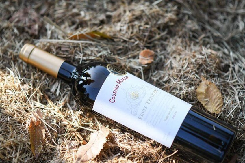"Premium Wine Tour" Viña Cousiño Macul Official english