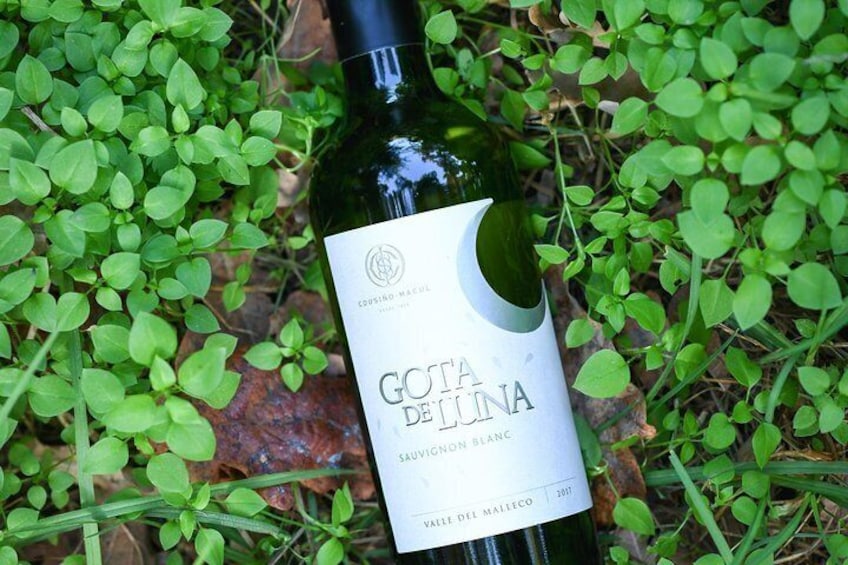 "Premium Wine Tour" Viña Cousiño Macul Official english