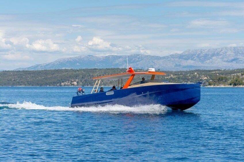 Deluxe boat with WIFI, toilet, hard top