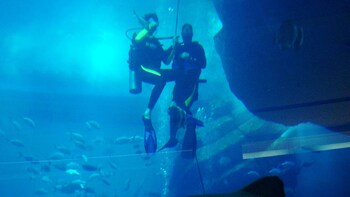 Scuba Diving With Sharks At Dubai Aquarium