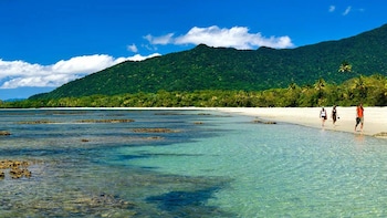 Small Group Premium Daintree & Cape Tribulation Day Tour