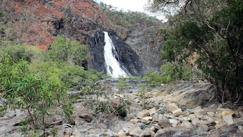 3-Day Cooktown, Daintree & Outback Small-Group Tour
