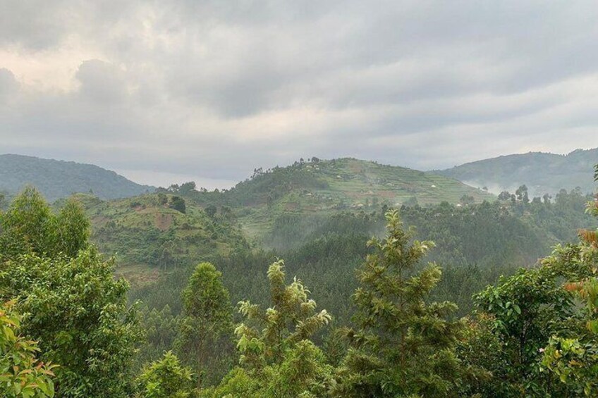 6 Days Rwanda Uganda Wildlife Safari