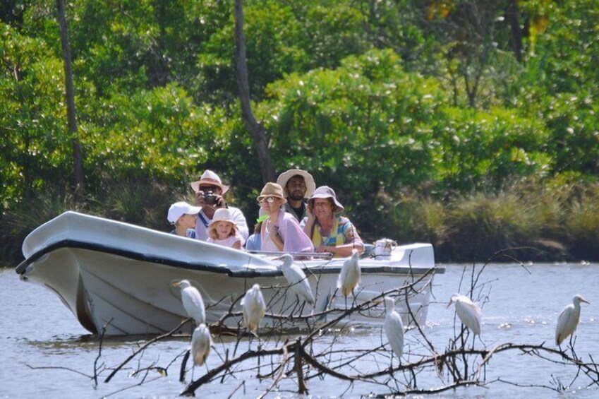 Muthurajawela Bird Watching Boat Tour