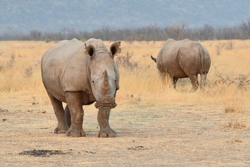 12 Days Tour Namibia In Plus | Self Drive Lodge