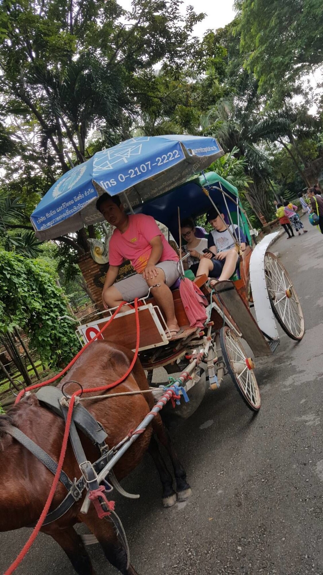 1 día en la ciudad de Chiang Mai y Recorrido cultural 