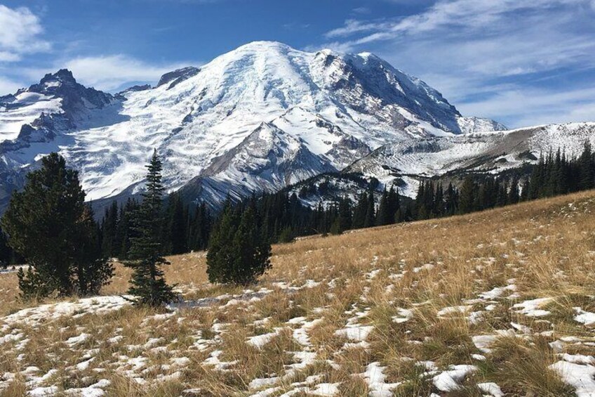 Mount Rainier Day Hike