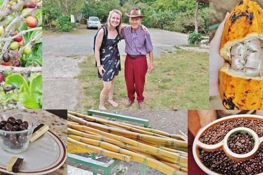 Monteverde Cloud Forest Coffee, Chocolate and Sugar Cane Tour
