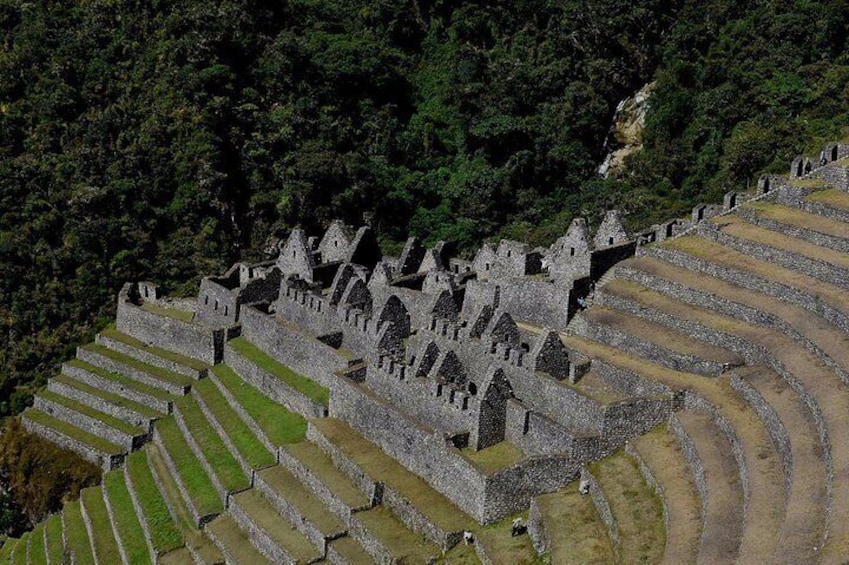 Inca Trail To Machu Picchu - Small Group - 2 Days Tour