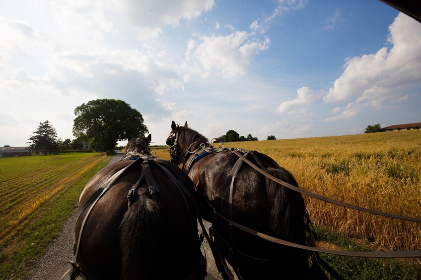 Overnight Washington D.C., Philadelphia & Amish Country Tour