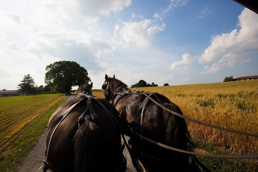 Overnight Washington D.C., Philadelphia & Amish Country Tour
