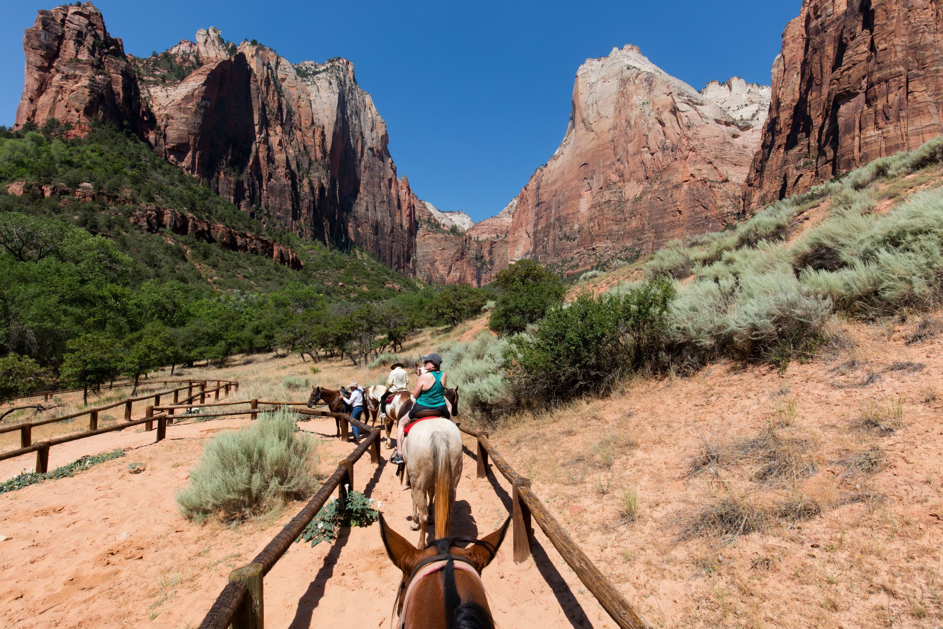trips from las vegas to zion national park