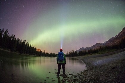 Nature by Nightfall Tour - Headlamps & Ice Cleats (Micro-spikes) Included