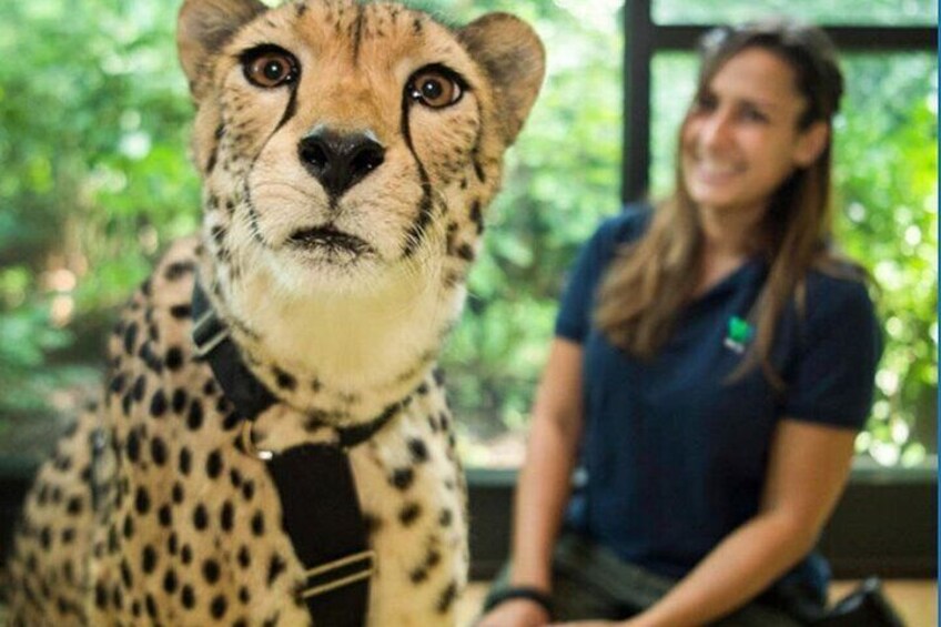 Bronx Zoo Admission Ticket