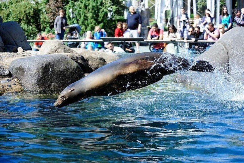 Central Park Zoo Admission Ticket 