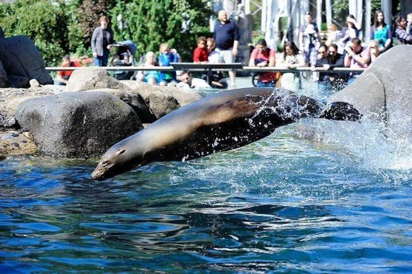Central Park Zoo Admission Ticket