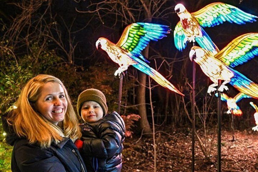 Bronx Zoo Holiday Lights