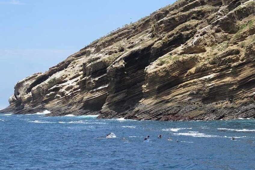 Snorkeling tour at tortuga island from Isabela