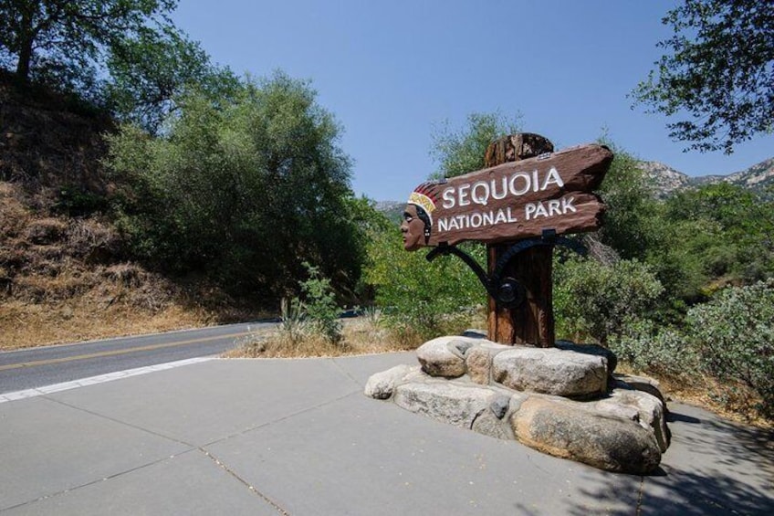 Sequoia Park Private Tour