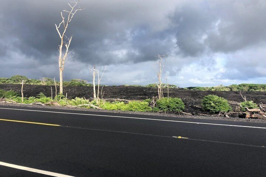 Hilo Shore Excursion: Volcano Safari Lava Caves, Falls & Highlights Small Group