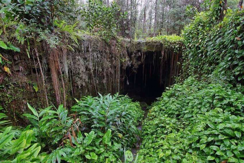 Hilo Shore Excursion: Volcano Safari Lava Caves, Falls & Highlights Small Group