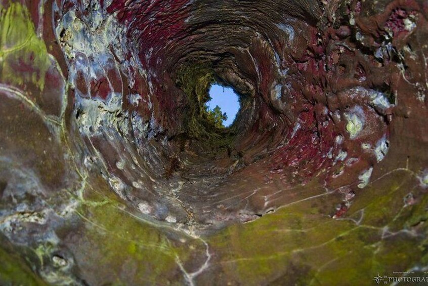 inside a lava tree