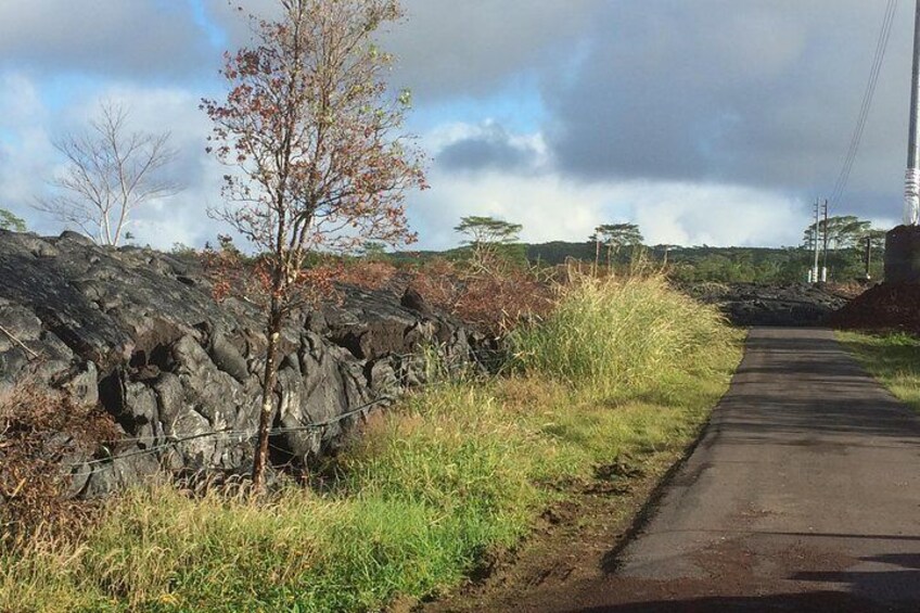 Hilo Shore Excursion: Volcano Safari Lava Caves, Falls & Highlights Small Group