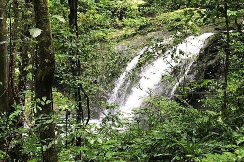 Manuel Antonio National Park Tour