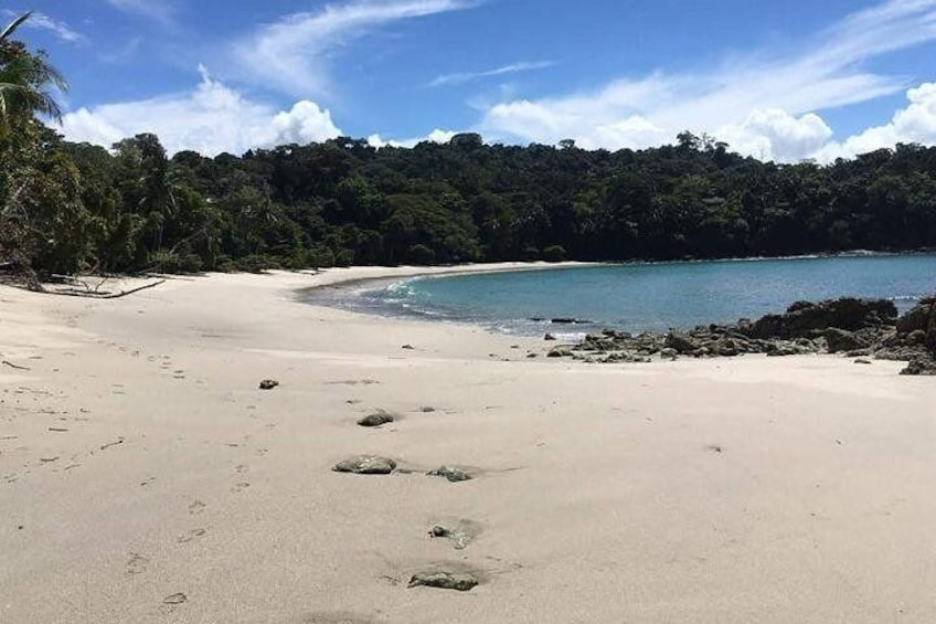 Beach at the Manuel Antonio National Park