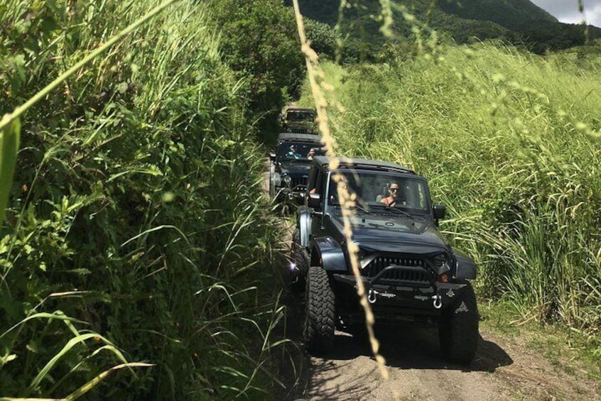 Self Drive 4x4 Off Road Jeep Wrangler & Beach chill