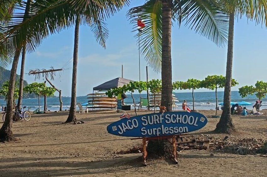 Surf Lessons
