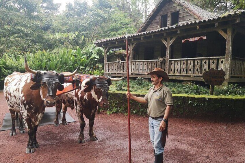 Poas Volcano-La paz Waterfall Gardens & Coffe tour PRIVATE