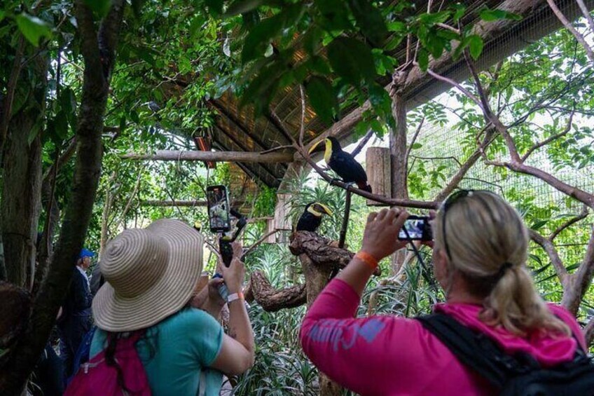 Poas Volcano-La paz Waterfall Gardens & Coffe tour PRIVATE