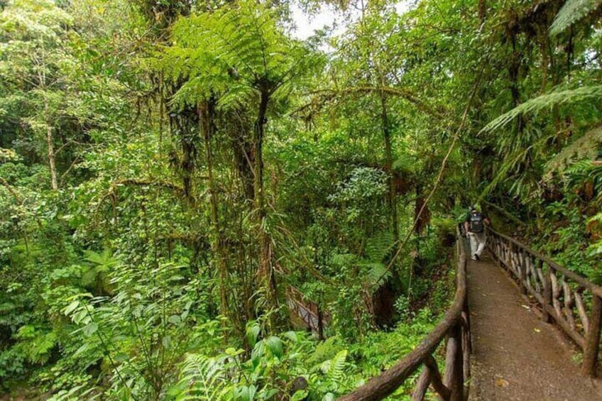 Poas Volcano-La paz Waterfall Gardens & Coffe tour PRIVATE