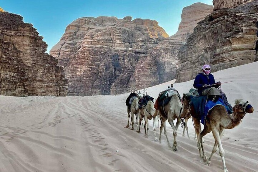 One Day Petra & Wadi Rum from Aqaba