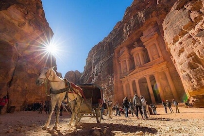 One Day Petra & Wadi Rum from Aqaba