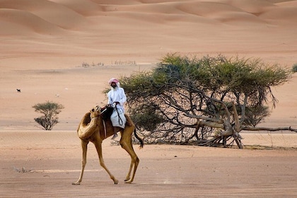 Wahiba Sands Desert with Wadi Bani Khalid Tour by 4X4