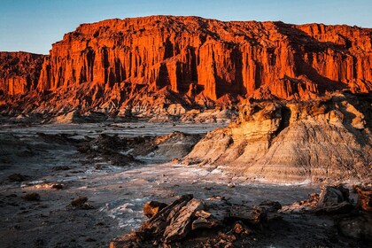 Besuch des Ischigualasto Provincial Park