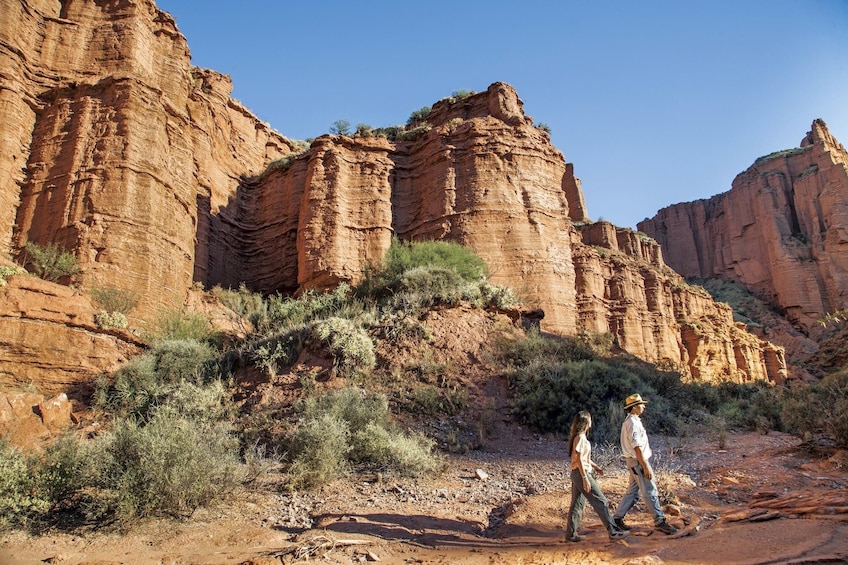 Visit to the Ischigualasto Provincial Park