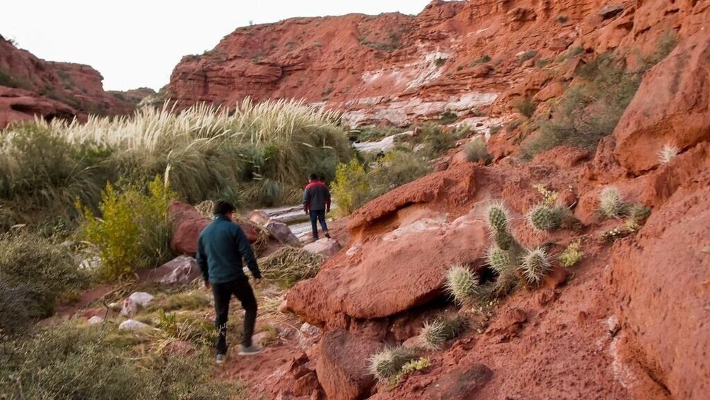 Visit to the Ischigualasto Provincial Park