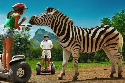 Enchanting South of Mauritius: Full-day tour Incl CASELA Park, Lunch & Tran...