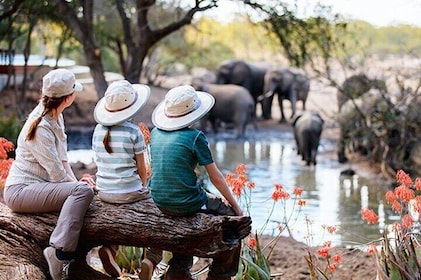 7 Days Best Luxury Safari To Tanzania