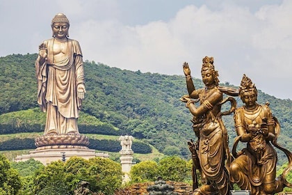 Wuxi Lingshan Grand Buddha Private Tour from Nanjing by Bullet Train