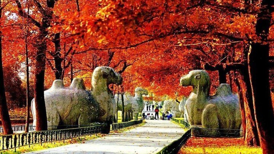 Nanjing Xiaoling Tomb
