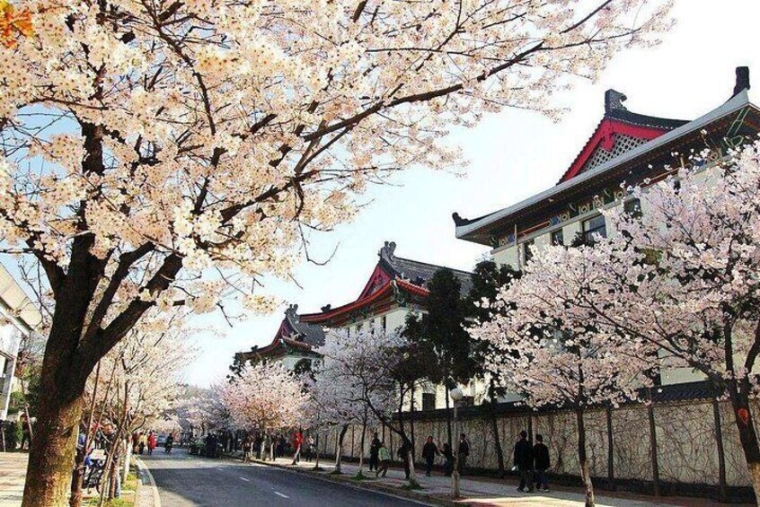 Nanjing City Private Customized Day Tour with Lunch