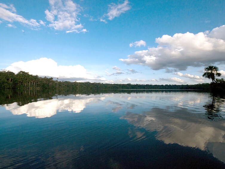 Tambopata and Sandoval Lake 3 days and 2 nights