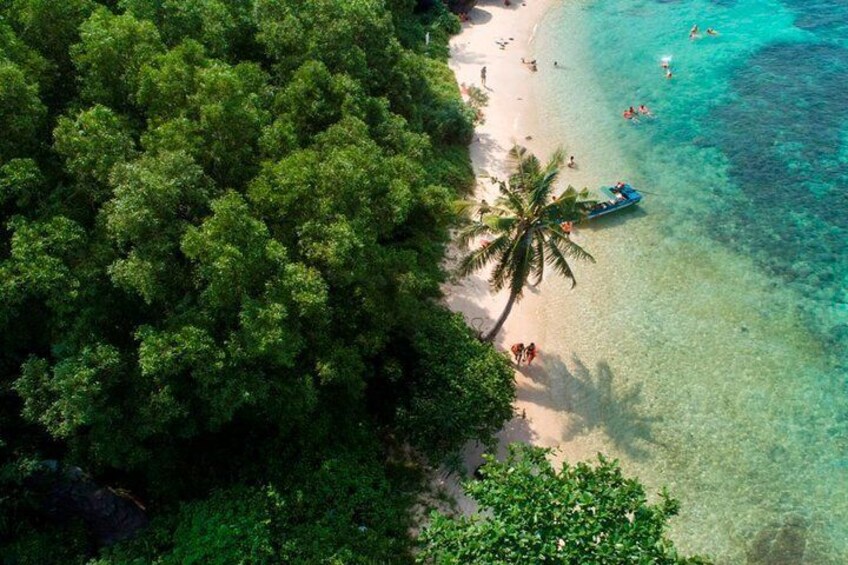 Wild beach with white sand and crystal clear blue water
