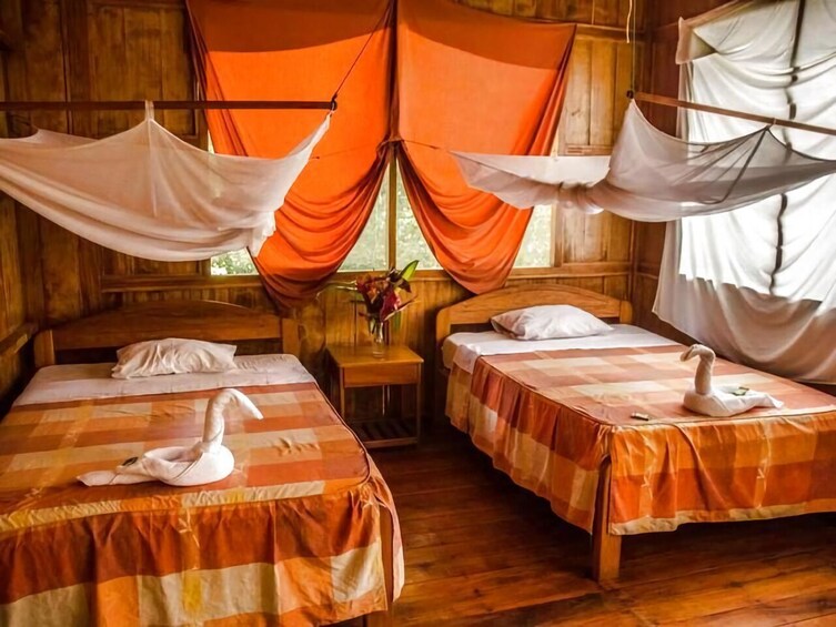 Tambopata National Reserve: Jungle and Adventure